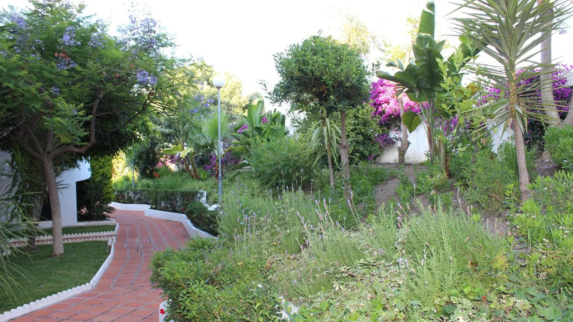 شقة Apartamentos Las Rosas De Capistrano نيرخا إسبانيا